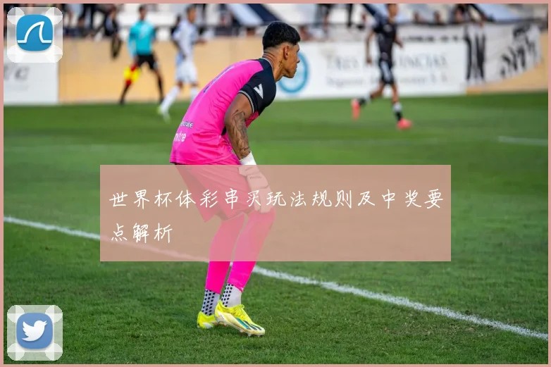 世界杯体彩串买玩法规则及中奖要点解析