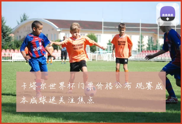 卡塔尔世界杯门票价格公布 观赛成本成球迷关注焦点