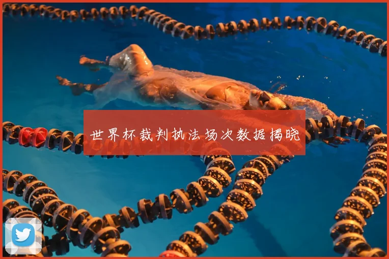 世界杯裁判执法场次数据揭晓