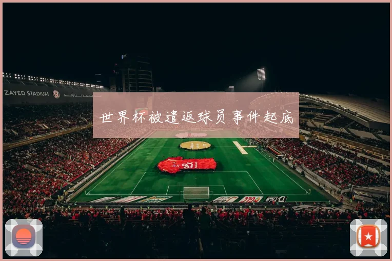 世界杯被遣返球员事件起底