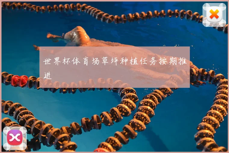 世界杯体育场草坪种植任务按期推进