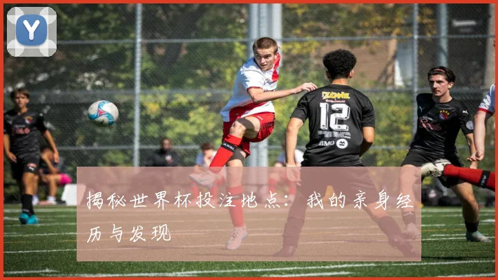 揭秘世界杯投注地点:我的亲身经历与发现