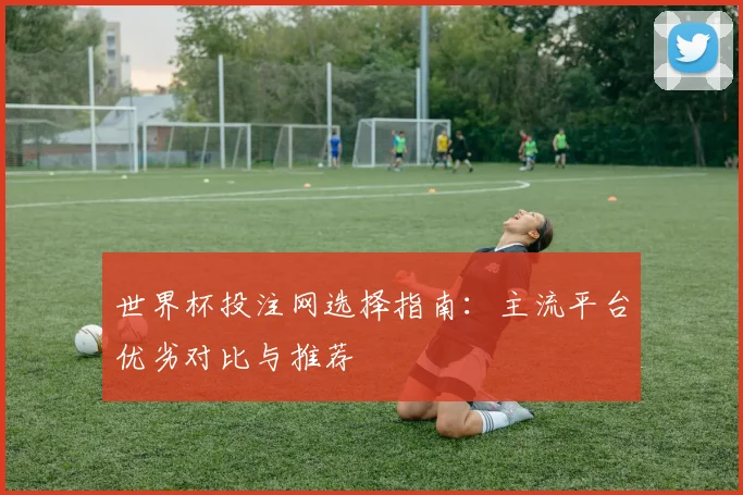 世界杯投注网选择指南:主流平台优劣对比与推荐