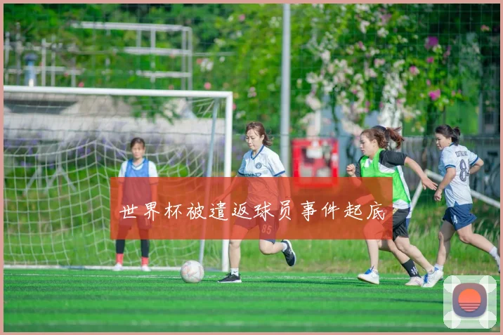 世界杯被遣返球员事件起底